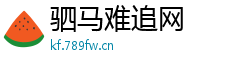 驷马难追网